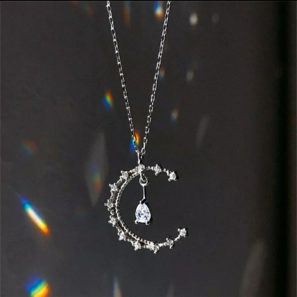 SHEIN Jewelry - Ladys necklace